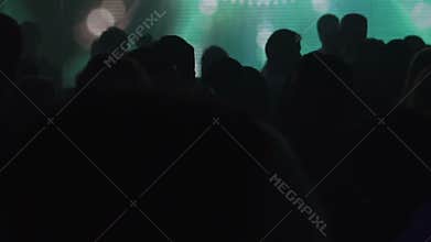 Dancing crowd at the nightclub