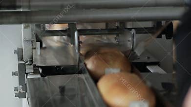 Packing line bread in foil