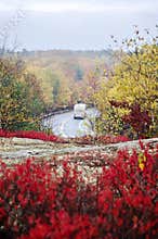 Wet curved road in Acadia National Park in Autumn