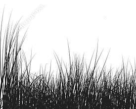 Grass silhouette