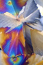 Citric acid crystal in polarized light