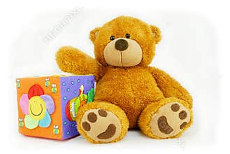 Teddy bear and toy cube