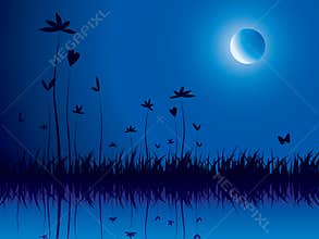 Evening nature