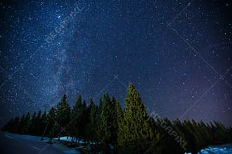 Beautifull scenery of a night winter starry sky above pine forest, long exposure photo of midnight stars and snowy woods