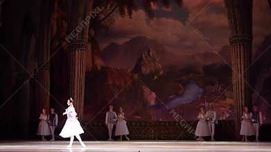 Classical ballet Swan Lake