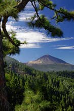 Teide