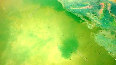 Throws a bright blue bath bomb in the water-filled tub