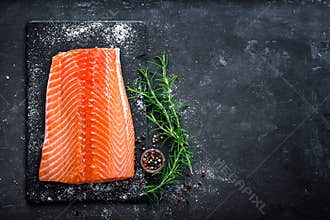 Raw salmon filet on dark slate background, wild atlantic fish, space for text