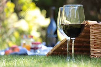 Summer picnic setting