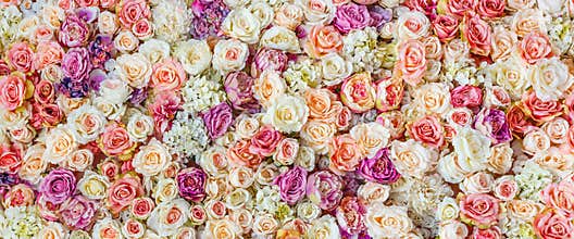 Flowers wall background with amazing red and white roses, Wedding decoration, hand made