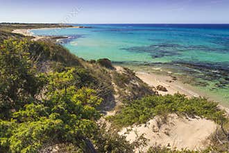 Summer beach.Torre Guaceto Nature Reserve: panoramic view of the coast from the dunes.Italy Apulia.