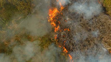 Aerial view Forest fire. Busuanga, Palawan, Philippines.