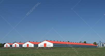 Poultry farm