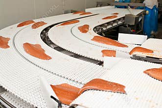 Fish factory salmon production