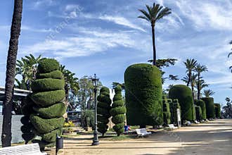 Botanical space with exotic plants of several countries of the w