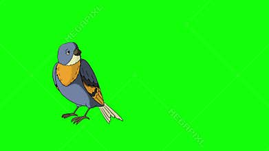 Blue Bird Came Flying