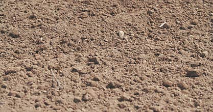 Freshly Cultivated field. Agriculture background.