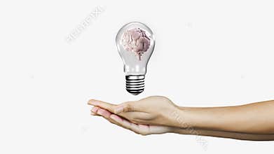 Hands presenting light bulb with brain