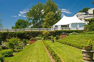 Party tent and garden