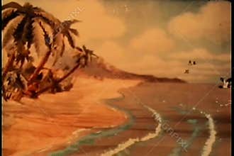 Birds flying over tropical beach paradise