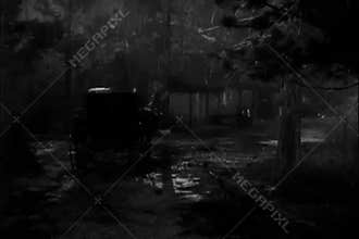 Horse drawn carriage traveling though forest in thunder storm