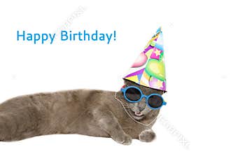 Happy birthday card with cat