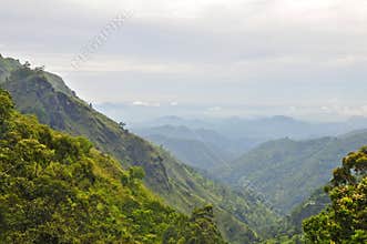 Nuwara Eliya, Central Province Sri Lanka