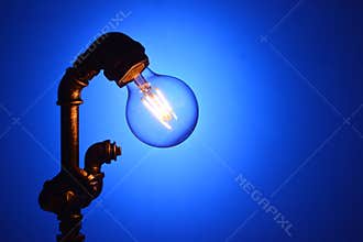 Vintage led lamp bulb