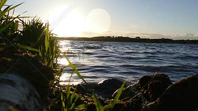 Fresh Grass with sunshine - Relaxation concept - 4K