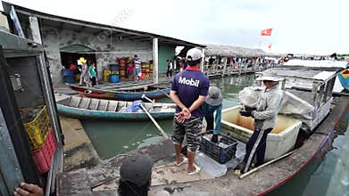 Group sort fresh fishes at traditional fishing village