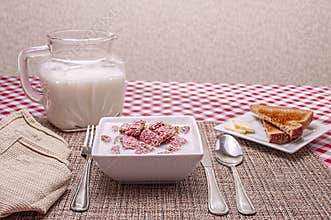 Breakfast cereal,bowl,milk,toast