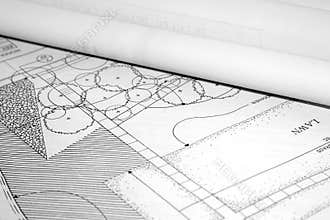 Architectural landscape plan