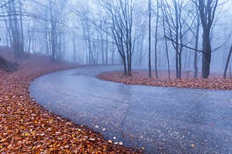 Mountain road in autumn colours