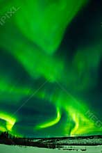 Great Northern Lights