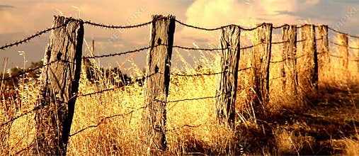 Fence