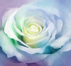 Close up of white rose petals. Oil painting flower