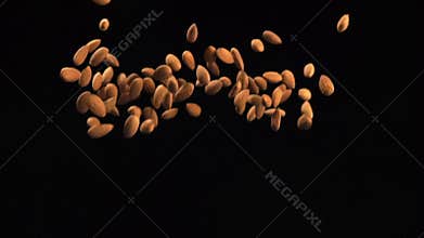 SLOW: Almonds fly up and fall