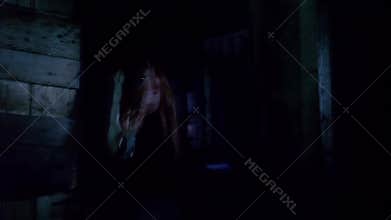 Close-up of horses in stable at night