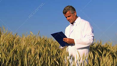 Quality control in wheat field