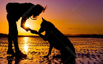 Hipster girl playing with dog at a beach during sunset, silhouettes