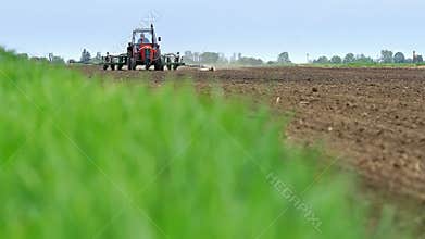 Tractor in a field of corn sowing