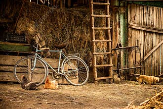 Barn
