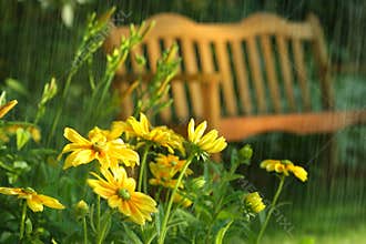 Summer showers