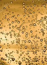 Beer bubbles