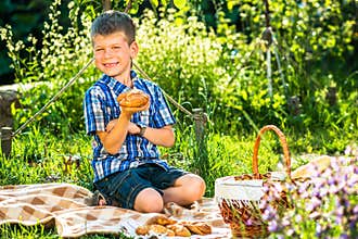 Cute kid boy having picnic