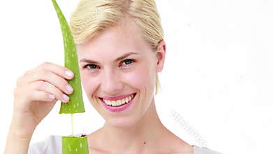Attractive woman snapping aloe vera leaf