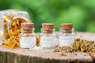 Three bottles of homeopathy globules and healthy herbs.
