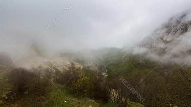 Fog over the forest in the mountains.