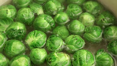 Brussel sprouts boiling in hot water, closeup;