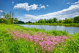 Spring flowers river landscape blue sky clouds countryside